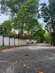 Leedon Road (D10), Detached #596358171